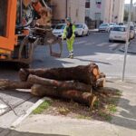 BRESCIA: LA “RIFORESTAZIONE URBANA ALLA CASTELLETTI”