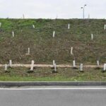 LA FORESTA DELLE PROMESSE A BRESCIA